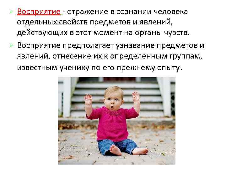 Восприятие - отражение в сознании человека отдельных свойств предметов и явлений, действующих в этот