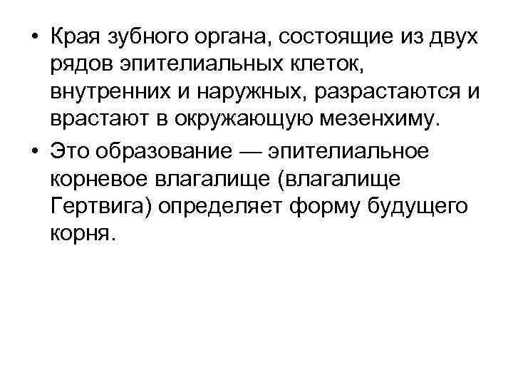  • Края зубного органа, состоящие из двух рядов эпителиальных клеток, внутренних и наружных,
