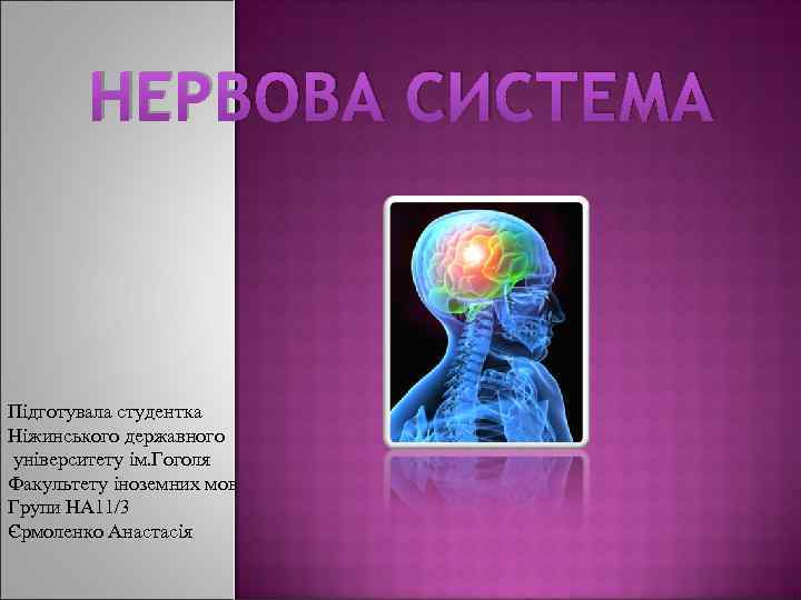 НЕРВОВА СИСТЕМА Підготувала студентка Ніжинського державного університету ім. Гоголя Факультету іноземних мов Групи НА