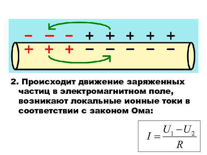 2. Происходит движение заряженных частиц в электромагнитном поле, возникают локальные ионные токи в соответствии