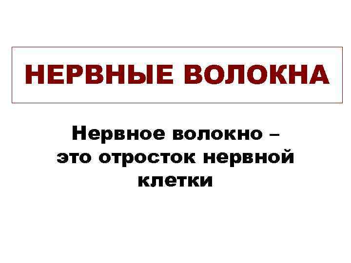 НЕРВНЫЕ ВОЛОКНА Нервное волокно – это отросток нервной клетки 