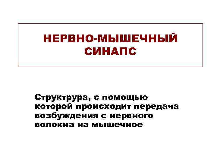 НЕРВНО-МЫШЕЧНЫЙ СИНАПС Структрура, с помощью которой происходит передача возбуждения с нервного волокна на мышечное