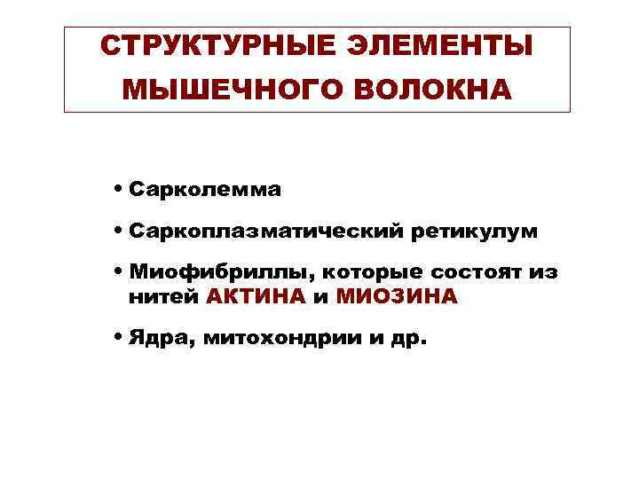 СТРУКТУРНЫЕ ЭЛЕМЕНТЫ МЫШЕЧНОГО ВОЛОКНА • Сарколемма • Саркоплазматический ретикулум • Mиофибриллы, которые состоят из
