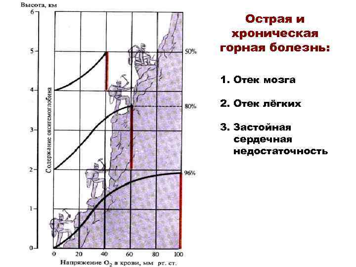 Острая и хроническая горная болезнь: 1. Отек мозга 2. Отек лёгких 3. Застойная сердечная