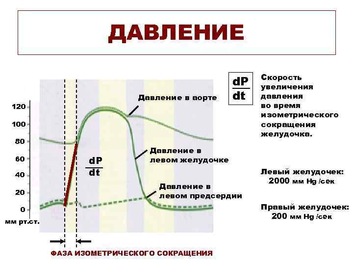  ДАВЛЕНИЕ Скорость d. P увеличения Давление в аорте dt давления 120 во время