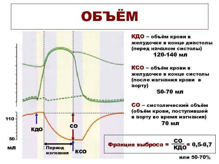  ОБЪЁМ КДО – объём крови в желудочке в конце диастолы (перед началом систолы)