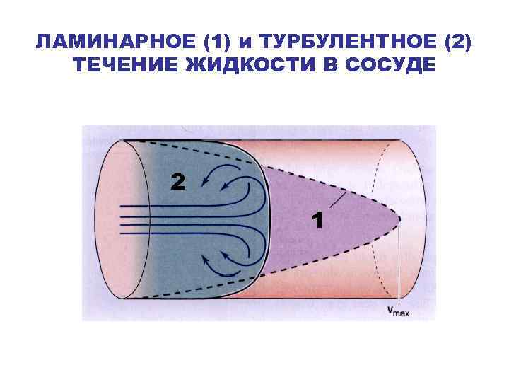 ЛАМИНАРНОЕ (1) и ТУРБУЛЕНТНОЕ (2) ТЕЧЕНИЕ ЖИДКОСТИ В СОСУДЕ 2 1 