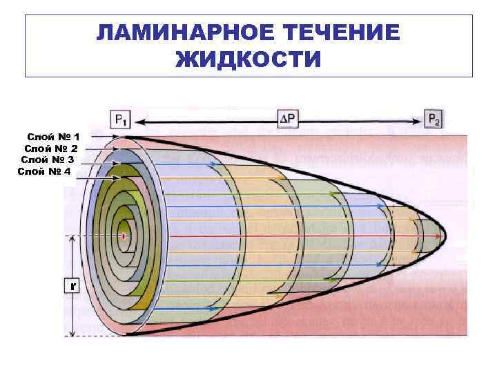 ЛАМИНАРНОЕ ТЕЧЕНИЕ ЖИДКОСТИ Слой № 1 Слой № 2 Слой № 3 Слой №