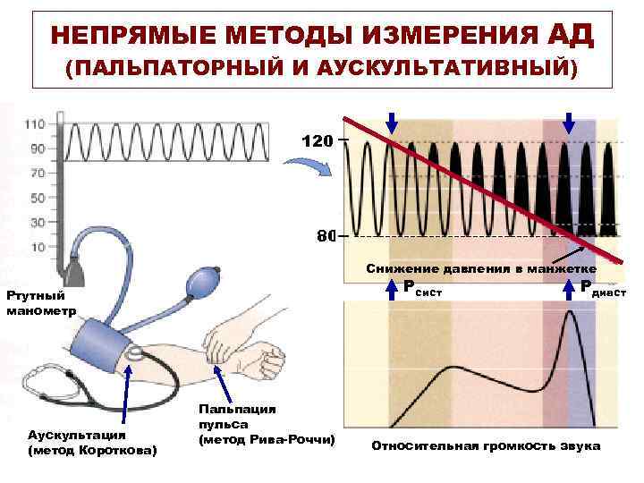 НЕПРЯМЫЕ МЕТОДЫ ИЗМЕРЕНИЯ АД (ПАЛЬПАТОРНЫЙ И АУСКУЛЬТАТИВНЫЙ) 120 80 Снижение давления в манжетке Рсист