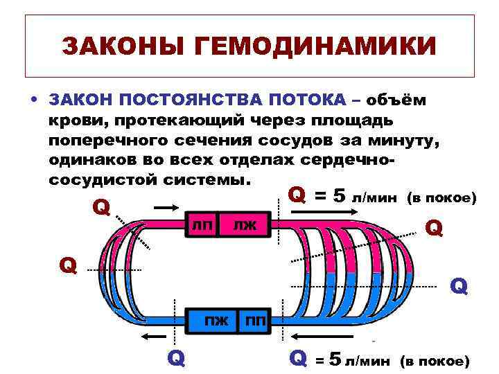 ЗАКОНЫ ГЕМОДИНАМИКИ • ЗАКОН ПОСТОЯНСТВА ПОТОКА – объём крови, протекающий через площадь поперечного сечения