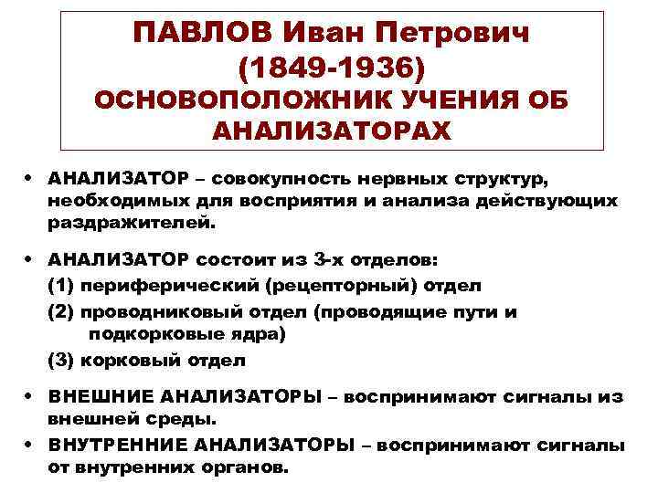 ПАВЛОВ Иван Петрович (1849 -1936) ОСНОВОПОЛОЖНИК УЧЕНИЯ ОБ АНАЛИЗАТОРАХ • АНАЛИЗАТОР – совокупность нервных