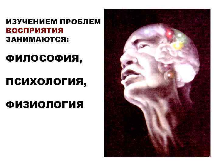 ИЗУЧЕНИЕМ ПРОБЛЕМ ВОСПРИЯТИЯ ЗАНИМАЮТСЯ: ФИЛОСОФИЯ, ПСИХОЛОГИЯ, ФИЗИОЛОГИЯ 