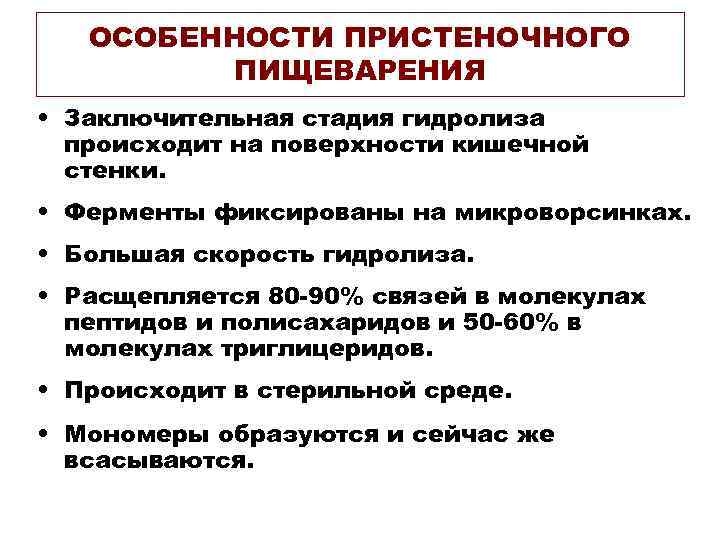 ОСОБЕННОСТИ ПРИСТЕНОЧНОГО ПИЩЕВАРЕНИЯ • Заключительная стадия гидролиза происходит на поверхности кишечной стенки. • Ферменты