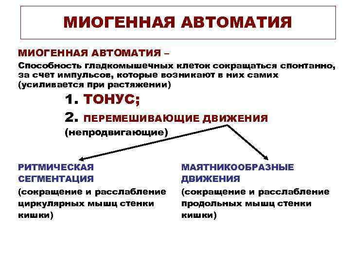 МИОГЕННАЯ АВТОМАТИЯ – Способность гладкомышечных клеток сокращаться спонтанно, за счет импульсов, которые возникают в