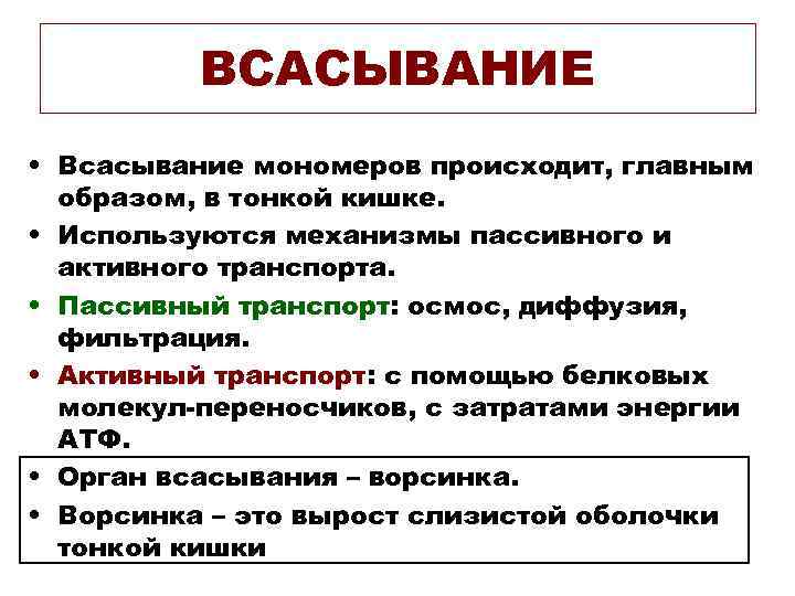 ВСАСЫВАНИЕ • Всасывание мономеров происходит, главным образом, в тонкой кишке. • Используются механизмы пассивного