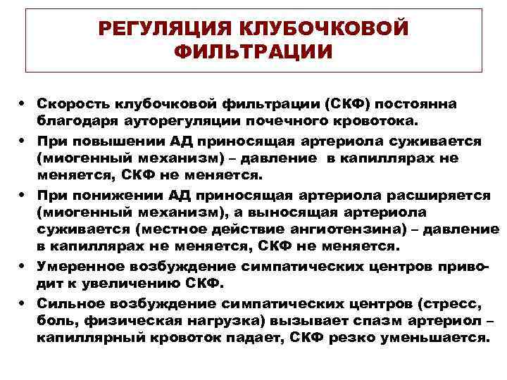 РЕГУЛЯЦИЯ КЛУБОЧКОВОЙ ФИЛЬТРАЦИИ • Скорость клубочковой фильтрации (СКФ) постоянна благодаря ауторегуляции почечного кровотока. •