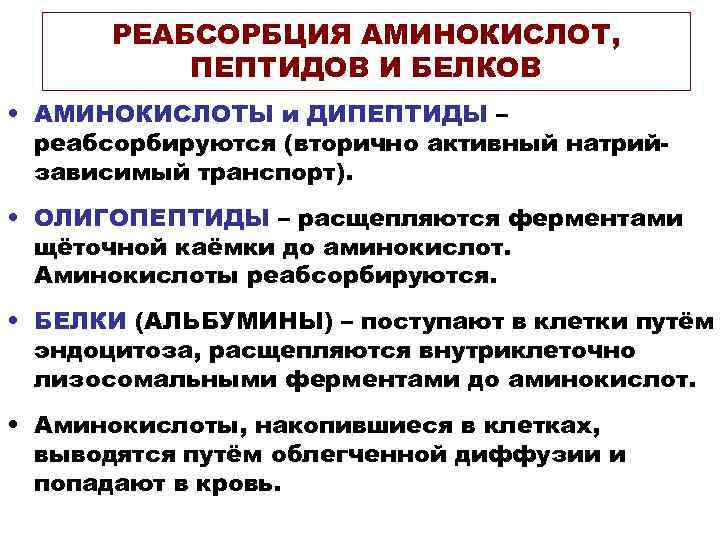 РЕАБСОРБЦИЯ АМИНОКИСЛОТ, ПЕПТИДОВ И БЕЛКОВ • АМИНОКИСЛОТЫ и ДИПЕПТИДЫ – реабсорбируются (вторично активный натрийзависимый