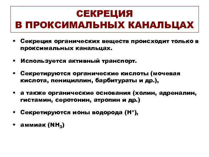 СЕКРЕЦИЯ В ПРОКСИМАЛЬНЫХ КАНАЛЬЦАХ • Секреция органических веществ происходит только в проксимальных канальцах. •