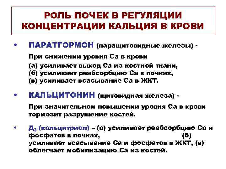 РОЛЬ ПОЧЕК В РЕГУЛЯЦИИ КОНЦЕНТРАЦИИ КАЛЬЦИЯ В КРОВИ • ПАРАТГОРМОН (паращитовидные железы) При снижении