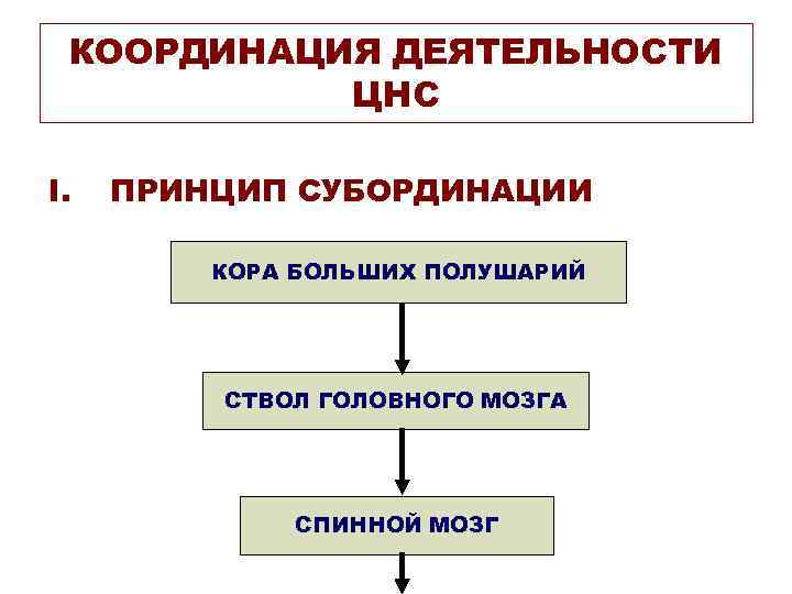 КООРДИНАЦИЯ ДЕЯТЕЛЬНОСТИ ЦНС I ПРИНЦИП СУБОРДИНАЦИИ КОРА БОЛЬШИХ