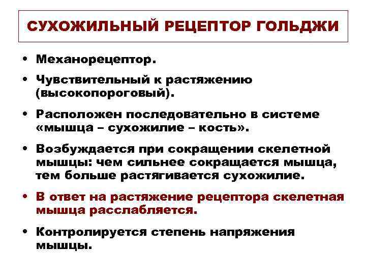 СУХОЖИЛЬНЫЙ РЕЦЕПТОР ГОЛЬДЖИ • Механорецептор. • Чувствительный к растяжению (высокопороговый). • Расположен последовательно в