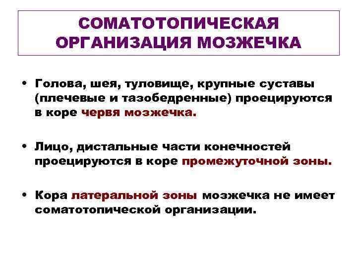 СОМАТОТОПИЧЕСКАЯ ОРГАНИЗАЦИЯ МОЗЖЕЧКА • Голова, шея, туловище, крупные суставы (плечевые и тазобедренные) проецируются в
