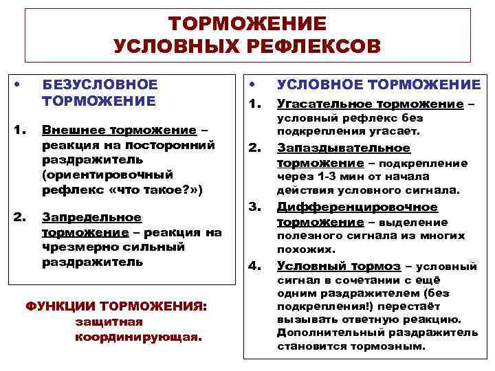 ТОРМОЖЕНИЕ УСЛОВНЫХ РЕФЛЕКСОВ • БЕЗУСЛОВНОЕ ТОРМОЖЕНИЕ 1. 2. Внешнее торможение – реакция на посторонний