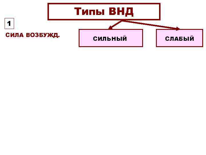 Типы ВНД 1 СИЛА ВОЗБУЖД. СИЛЬНЫЙ СЛАБЫЙ 