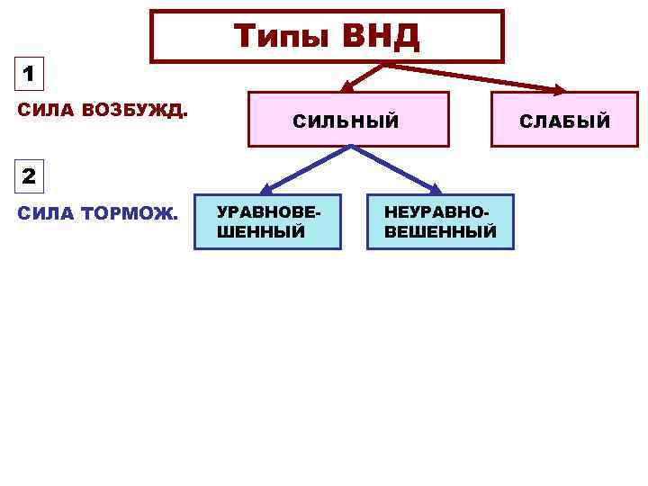 Типы ВНД 1 СИЛА ВОЗБУЖД. СИЛЬНЫЙ 2 СИЛА ТОРМОЖ. УРАВНОВЕШЕННЫЙ НЕУРАВНОВЕШЕННЫЙ СЛАБЫЙ 