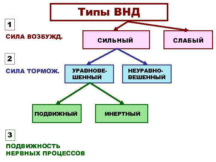 Основоположником учения об интерьере был