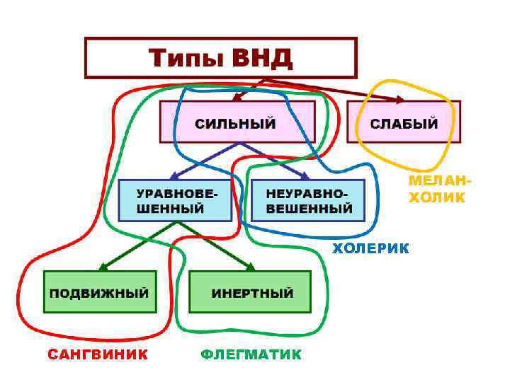 Схема меланхолик холерик сангвиник флегматик