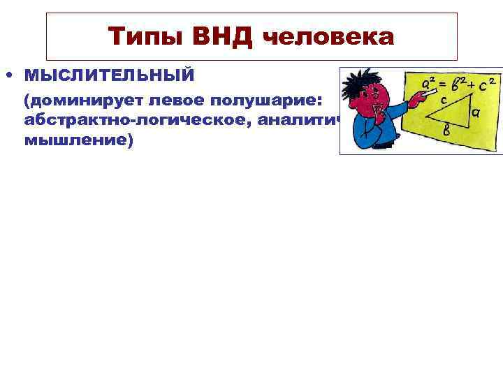 Типы ВНД человека • МЫСЛИТЕЛЬНЫЙ (доминирует левое полушарие: абстрактно-логическое, аналитическое мышление) 