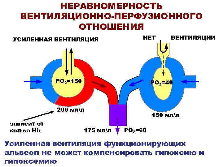 НЕРАВНОМЕРНОСТЬ ВЕНТИЛЯЦИОННО-ПЕРФУЗИОННОГО ОТНОШЕНИЯ УСИЛЕННАЯ ВЕНТИЛЯЦИЯ НЕТ РО 2=150 РО 2=40 200 мл/л зависит от