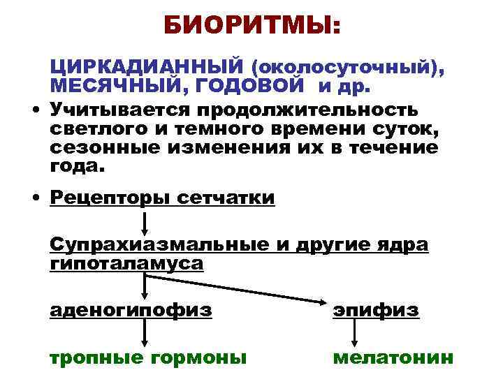 БИОРИТМЫ: ЦИРКАДИАННЫЙ (околосуточный), МЕСЯЧНЫЙ, ГОДОВОЙ и др. • Учитывается продолжительность светлого и темного времени
