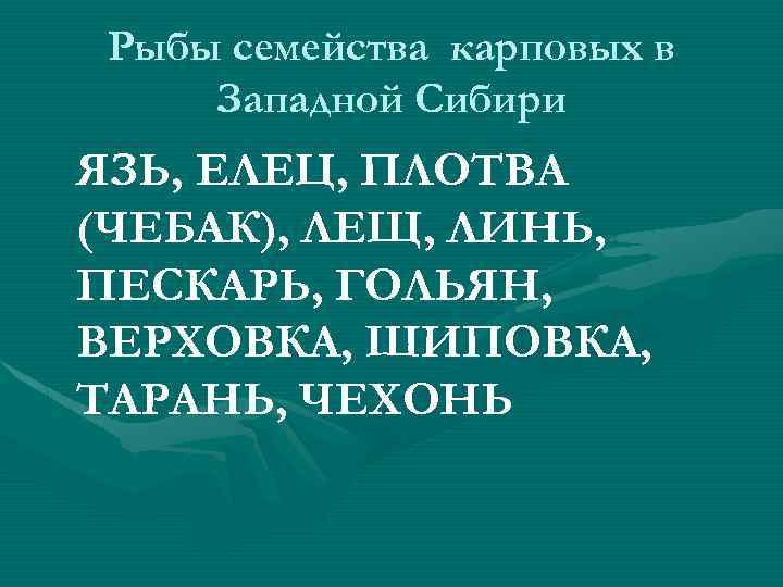 Рыбы семейства карповых в Западной Сибири ЯЗЬ, ЕЛЕЦ, ПЛОТВА (ЧЕБАК), ЛЕЩ, ЛИНЬ, ПЕСКАРЬ, ГОЛЬЯН,