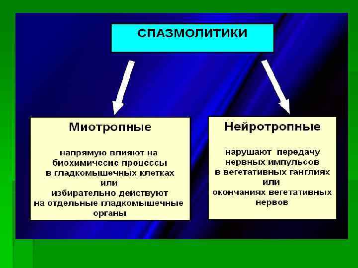 Где расположен сфинктер одди фото