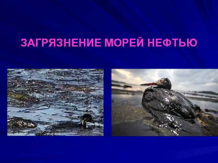 ЗАГРЯЗНЕНИЕ МОРЕЙ НЕФТЬЮ 