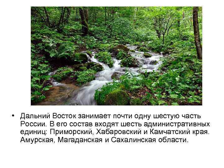  • Дальний Восток занимает почти одну шестую часть России. В его состав входят