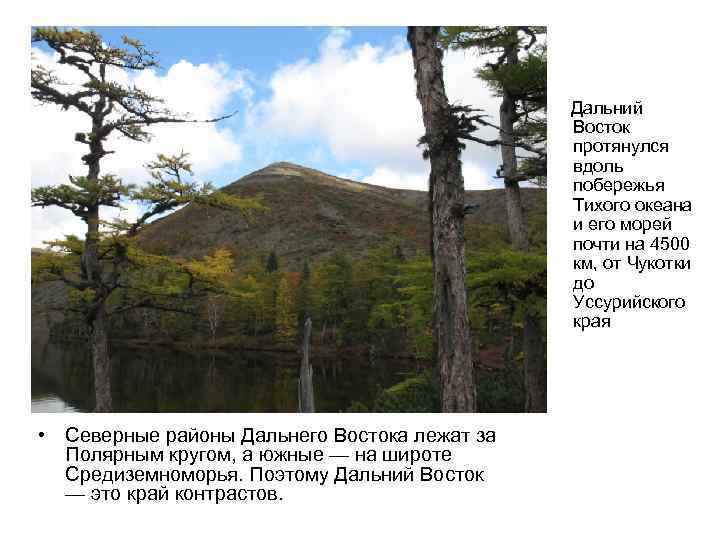 Природная зона протягивается вдоль северного побережья евразии. Дальний Восток край контрастов. Дальний Восток протянулся вдоль побережья Тихого океана и его морей. Проект Дальний Восток край контрастов. Презентация на тему Дальний Восток-край контрастов.