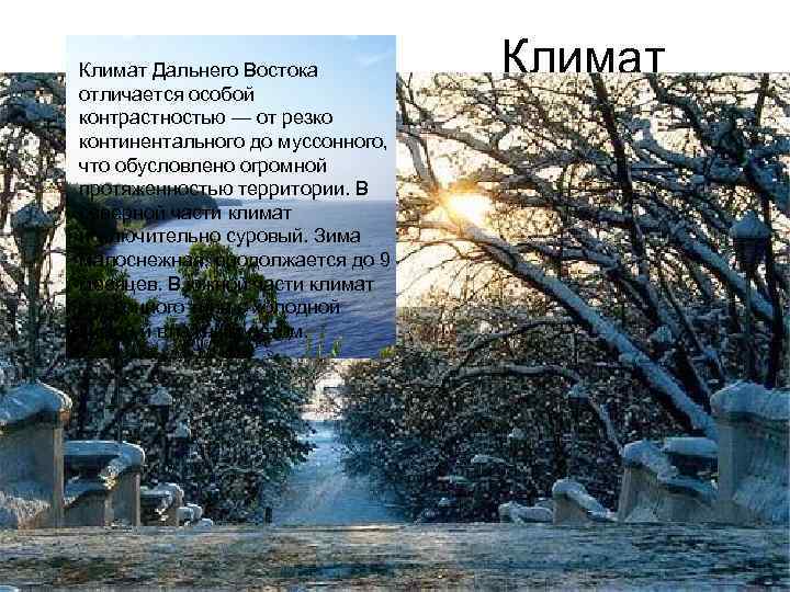 Климат дальнего востока. Суровый климат дальнего Востока. Климат контрастов Дальний Восток. Дальний Восток край контрастов буклет.