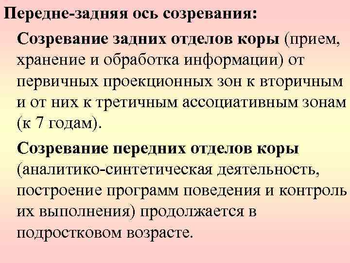 Передне-задняя ось созревания: Созревание задних отделов коры (прием, хранение и обработка информации) от первичных