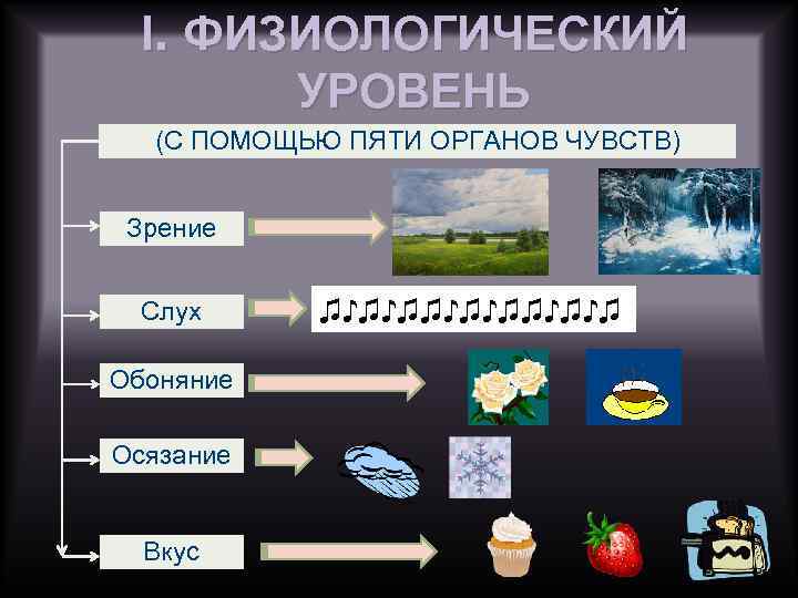I. ФИЗИОЛОГИЧЕСКИЙ УРОВЕНЬ (С ПОМОЩЬЮ ПЯТИ ОРГАНОВ ЧУВСТВ) Зрение Слух Обоняние Осязание Вкус ♫♪♫♪♫♫♪♫♪♫