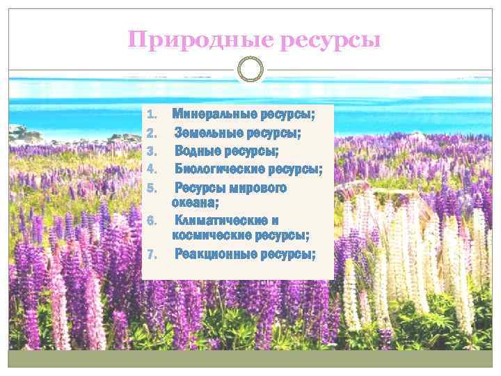 Природные ресурсы Минеральные ресурсы; Земельные ресурсы; Водные ресурсы; Биологические ресурсы; Ресурсы мирового океана; 6.