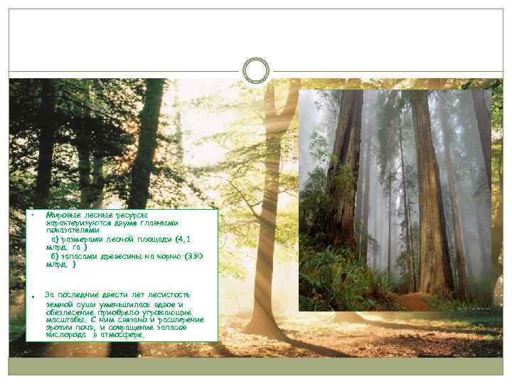  . Мировые лесные ресурсы характеризуются двумя главными показателями а) размерами лесной площади (4,