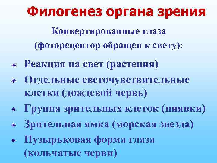 Филогенез органа зрения Конвертированные глаза (фоторецептор обращен к свету): Реакция на свет (растения) Отдельные