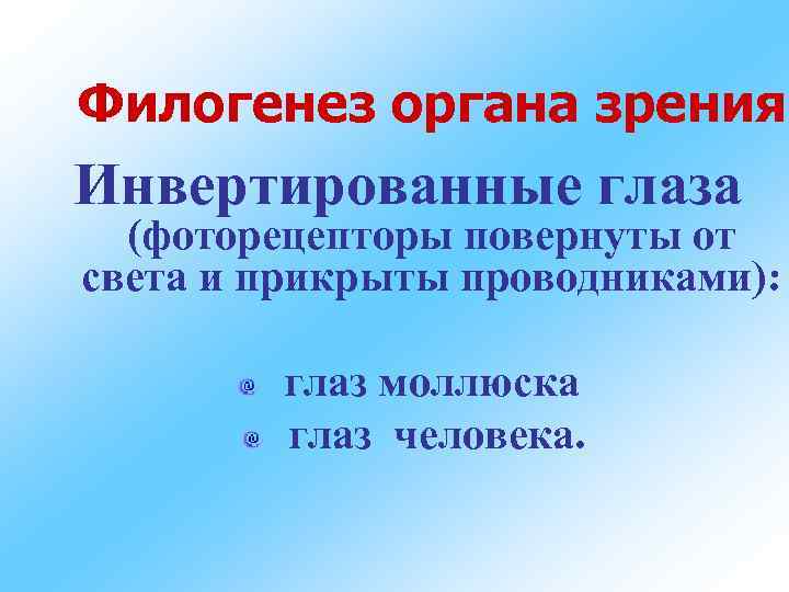 Филогенез органа зрения Инвертированные глаза (фоторецепторы повернуты от света и прикрыты проводниками): глаз моллюска