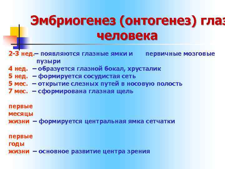  Эмбриогенез (онтогенез) глаз человека 2 -3 нед. – появляются глазные ямки и первичные