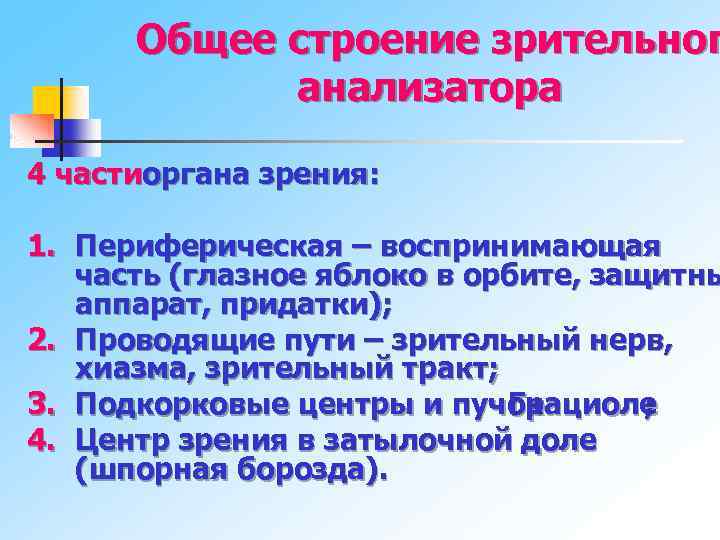  Общее строение зрительног анализатора 4 частиоргана зрения: 1. Периферическая – воспринимающая часть (глазное