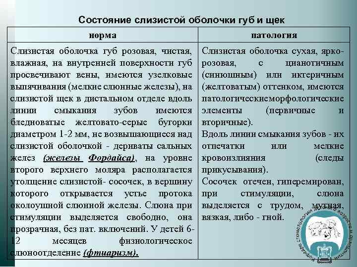 Состояние слизистой оболочки губ и щек норма патология Слизистая оболочка губ розовая, чистая, влажная,
