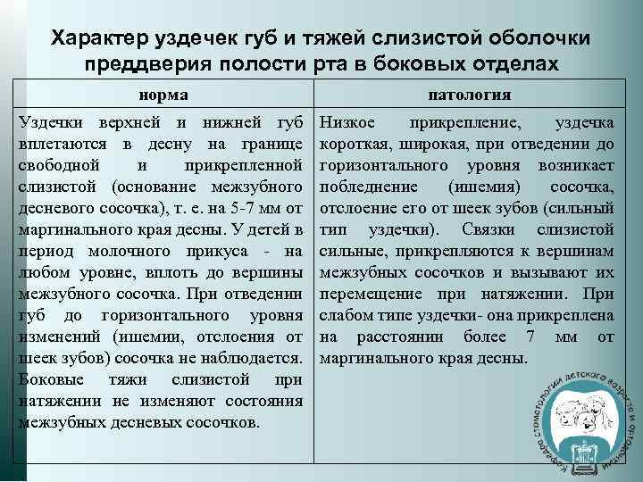 Характер уздечек губ и тяжей слизистой оболочки преддверия полости рта в боковых отделах норма